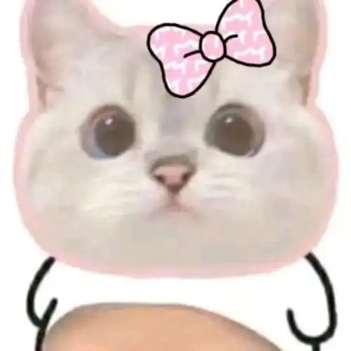沙雕猫咪表情包
