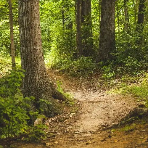  思维导图法之六步绘制法课后测试