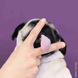  女孩用这个做头像什么意思,他才刚刚认识我