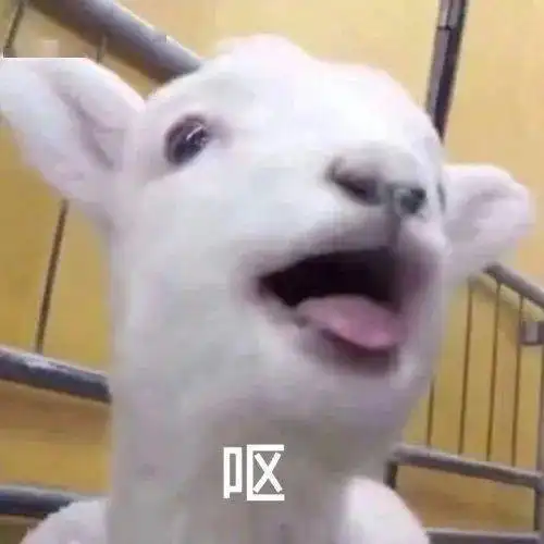  给主子买了件定制内衣,结果店家哭诉给你退款求你快点删