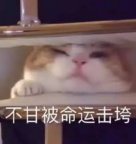  不务正业师范毕业做裁缝,把旗袍一改造直接上了纽约时装周