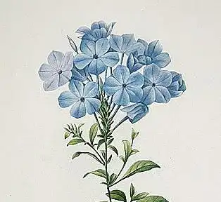  生肖男该如何催风水姻缘