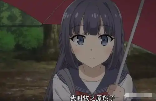  番剧兔女郎学姐中的梓川咲太是要开后宫吗