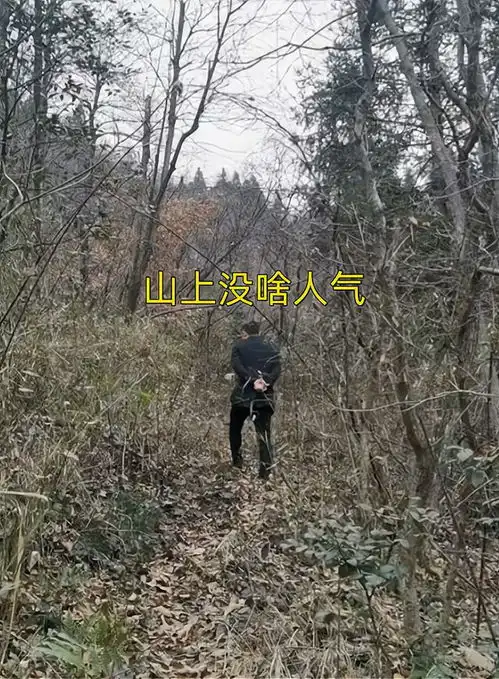  女子第一次相亲,被带到荒山采蘑菇看破不说破