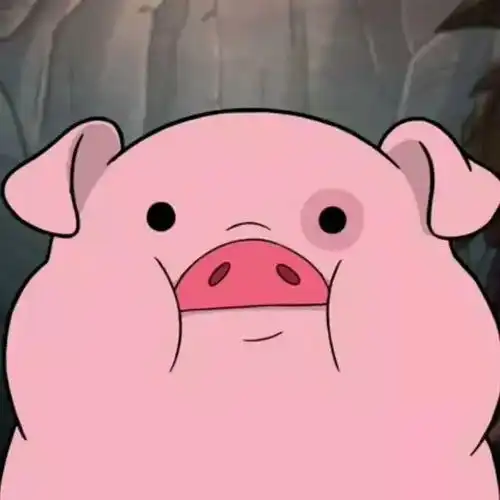 可爱猪猪头像