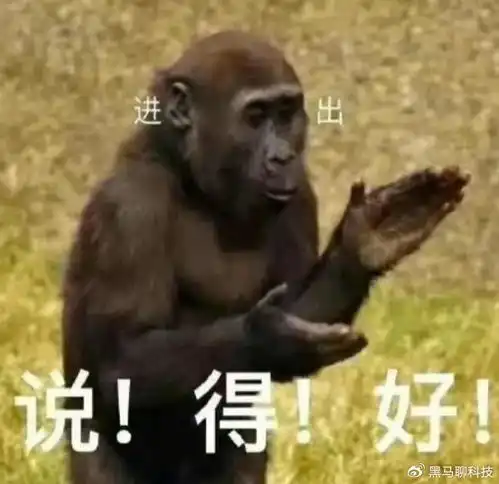 吊打小米华为这新机太炸裂了