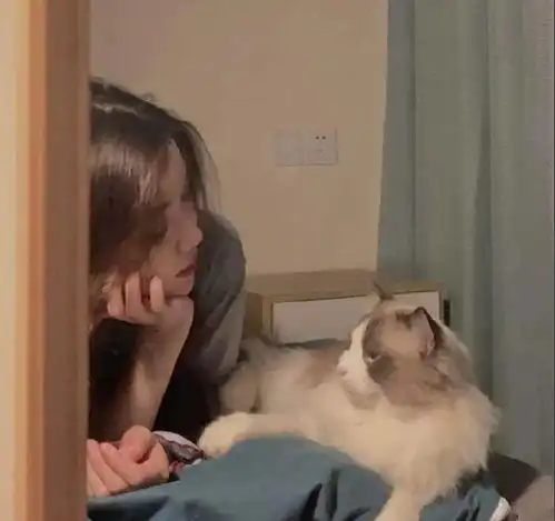 微信头像不求人好感,不予人难堪