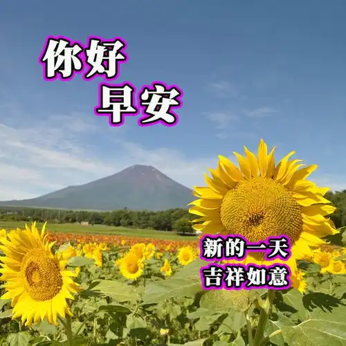  30张最新版早上好表情图片大全,幸福快乐,真情牵挂,珍惜永久早安思念大海钟声网易订阅