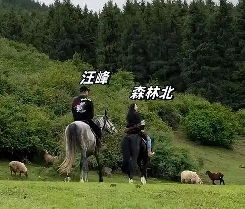  汪峰携森林北新疆策马奔腾,马场教练发声评价,网友理解汪峰了