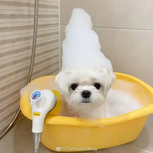  给大家分享一下网上找来的图片