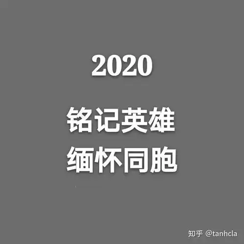 大家怎么看今天人们缅怀牺牲的人的将头像换成灰色的行为