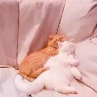  最火情侣头像独一无二qq头像潮人个性网