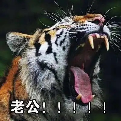  幽默段子笑话今天找喜欢的女生聊天,她说我嘴里都是蒜味,就把电话挂了