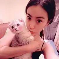  带猫情头一男一女