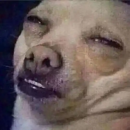  我承认我有赌的成分,全仓买进,赌它会拉升