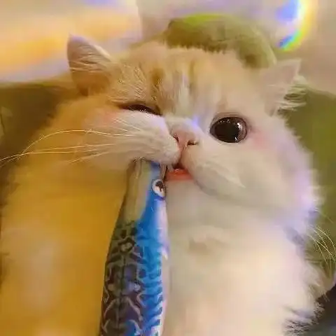  情侣头像小情话人海十万里,我只想要你