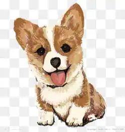  免费下载柯基卡通图片大全千库网png