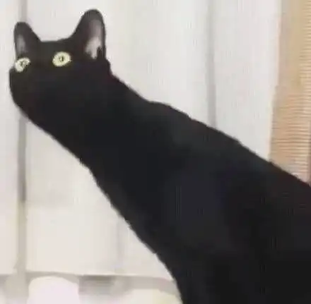  有哪些让你欲罢不能的沙雕头像