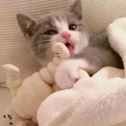  ins最热的朋友圈封面背景图,土味套路情话你想要了解么