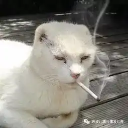  简直渣男前脚刚领证结婚秀恩爱,转身就急不可耐地外出约妹子