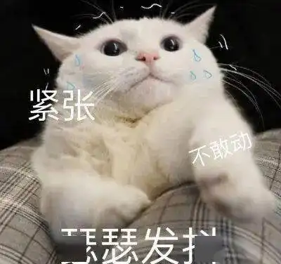  短道速滑大魔王王濛火了,她的表情包能随便用吗