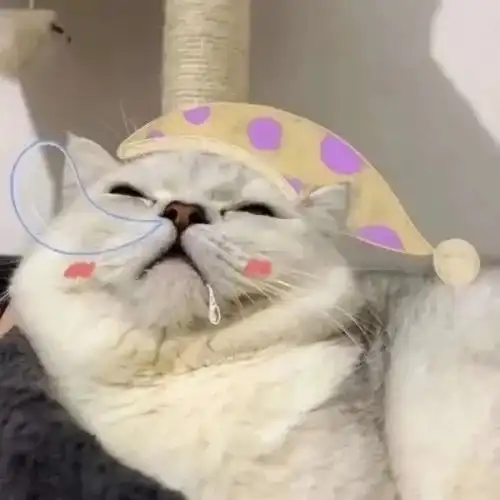  情侣头像适合日常发朋友圈的可爱文案