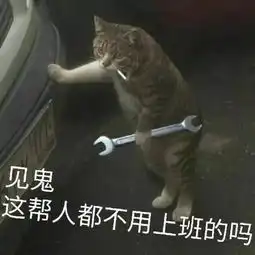 加拿大这个华人白富美原来是个贼偷闺蜜chanel包倒卖给二手店