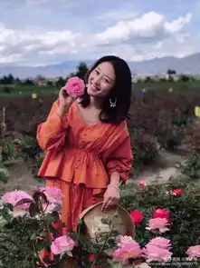  美女为什么对大理情有独钟