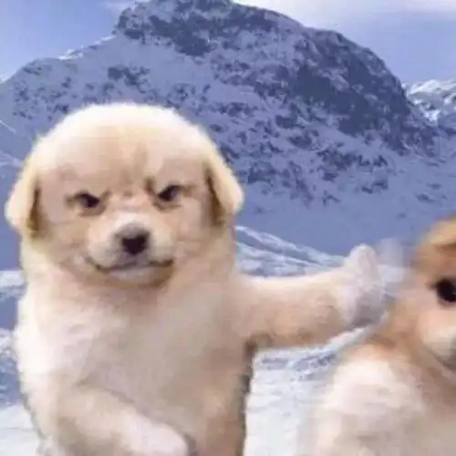  20组考研人专属情侣头像,甜度爆表