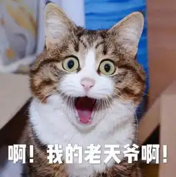  龙法微讲堂恋爱转账需注意法院认定5201314这种转账不算借