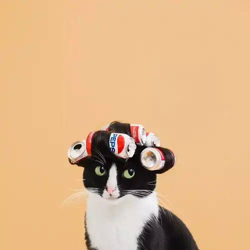  每张照片5000个赞你的新头像来了,就问你吸不吸