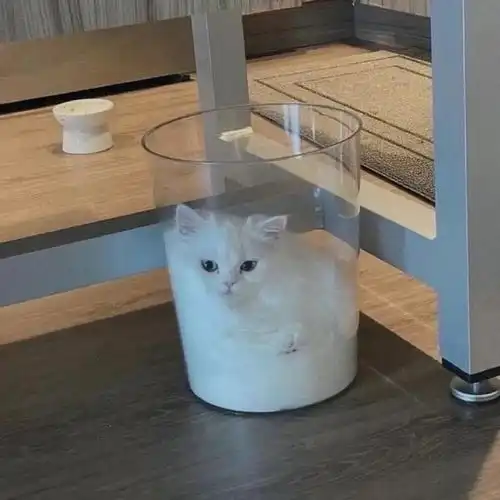  文案时间是个遥遥无期的幌子