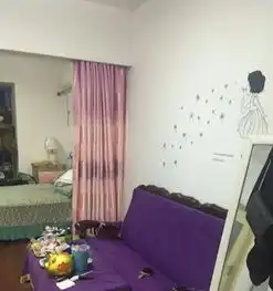  图安粮城市广场qq公寓1室1厅1卫合肥租房