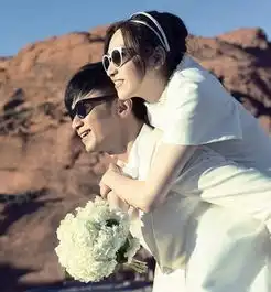  谢娜蔡少芬李小璐王菲谢霆锋明星求婚现场谁最雷人