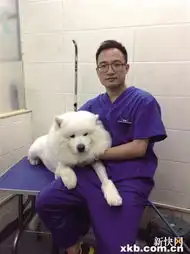  情人节都到了,不减肥就嫁不出去了