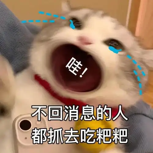 喵星人可爱搞怪表情包系列