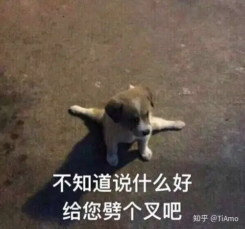  有个精神病的的舍友该怎么办