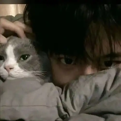  帅气抱猫男生头像