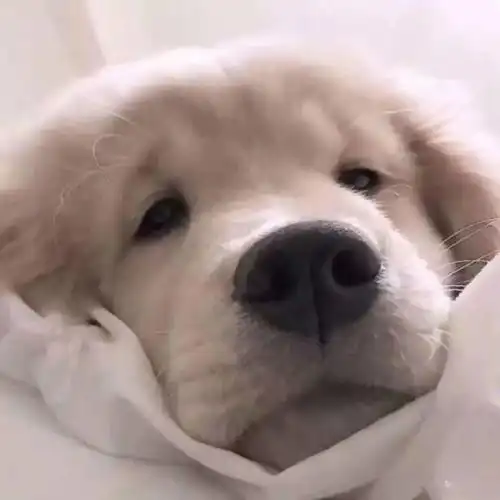  生活匆忙别错过晚霞也别忘记想念