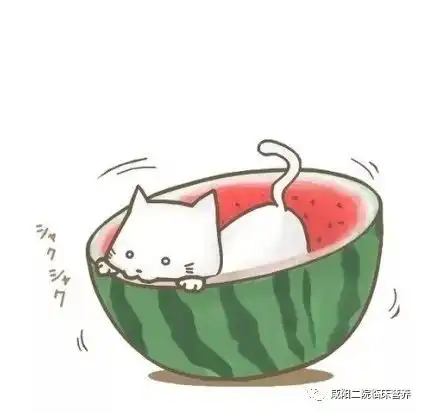 吃瓜群众必备指南