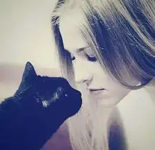  泪奔无言的陪伴让人感动一生