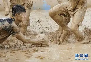  新鲜你从未见过的泥浆足球世界杯