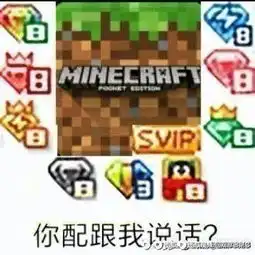  迷你玩家骂mc行为,可以用文言文来反驳,语文学的好的可以尝试