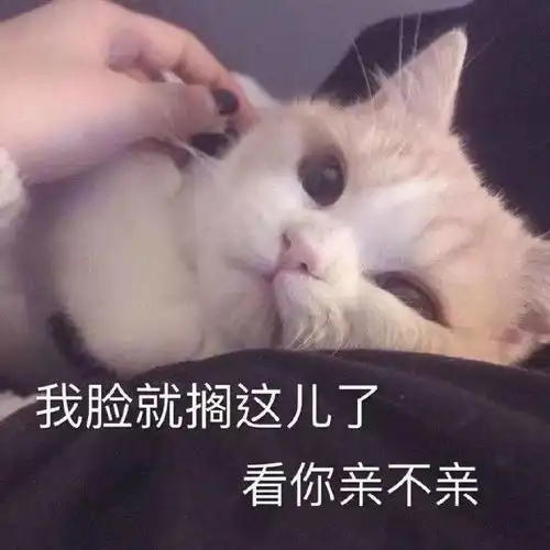  对象生气了怎么办发这套表情包给他,一哄一个准