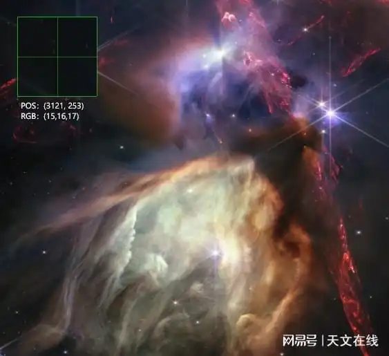  外表骇人的宇宙蜘蛛内心温柔充实,确有无疆母爱