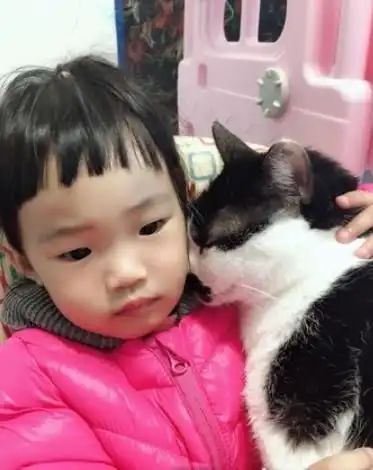  妹妹看卡通,猫主子爬身上讨抱抱,网友笑好像小情侣