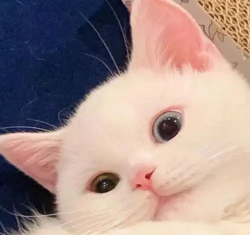  幽默笑话让人瞬间笑翻的搞笑段子,简短幽默,消闲解闷