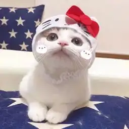  求同款情侣头像