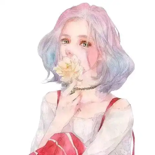我的收藏