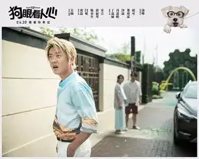  爱犬舍命守护黄磊闫妮催泪安慰我真的不痛,骗你是小狗